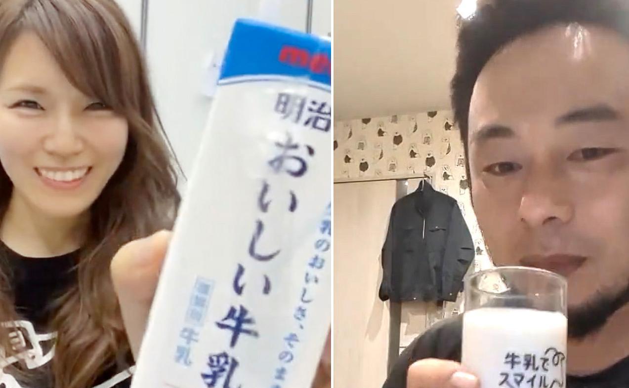 ニュース記事