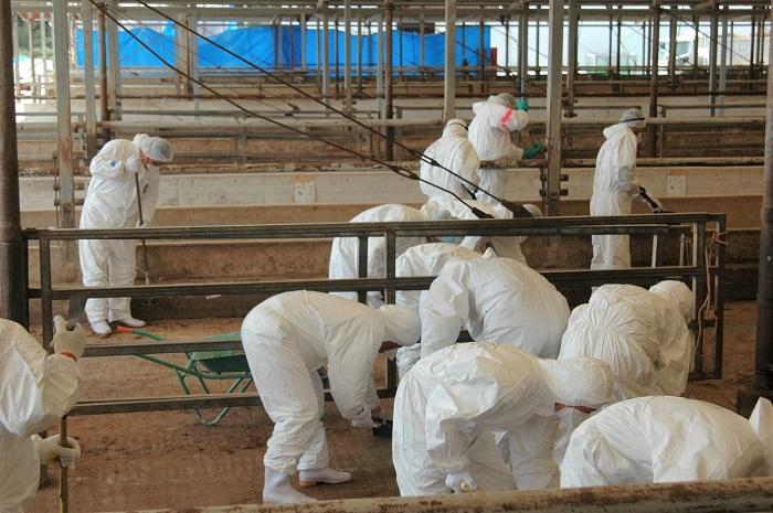 口蹄疫10年、再発防止へ防疫対策の徹底継続 酪農スピードNEWS