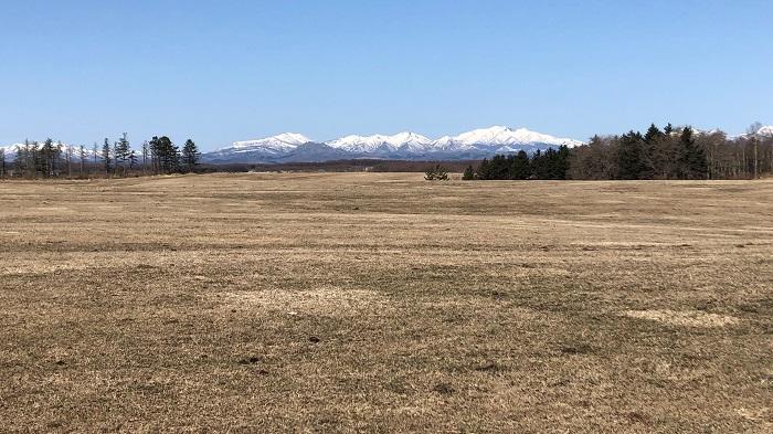 雪解けが進んだ牧草地（別海町で６日撮影）