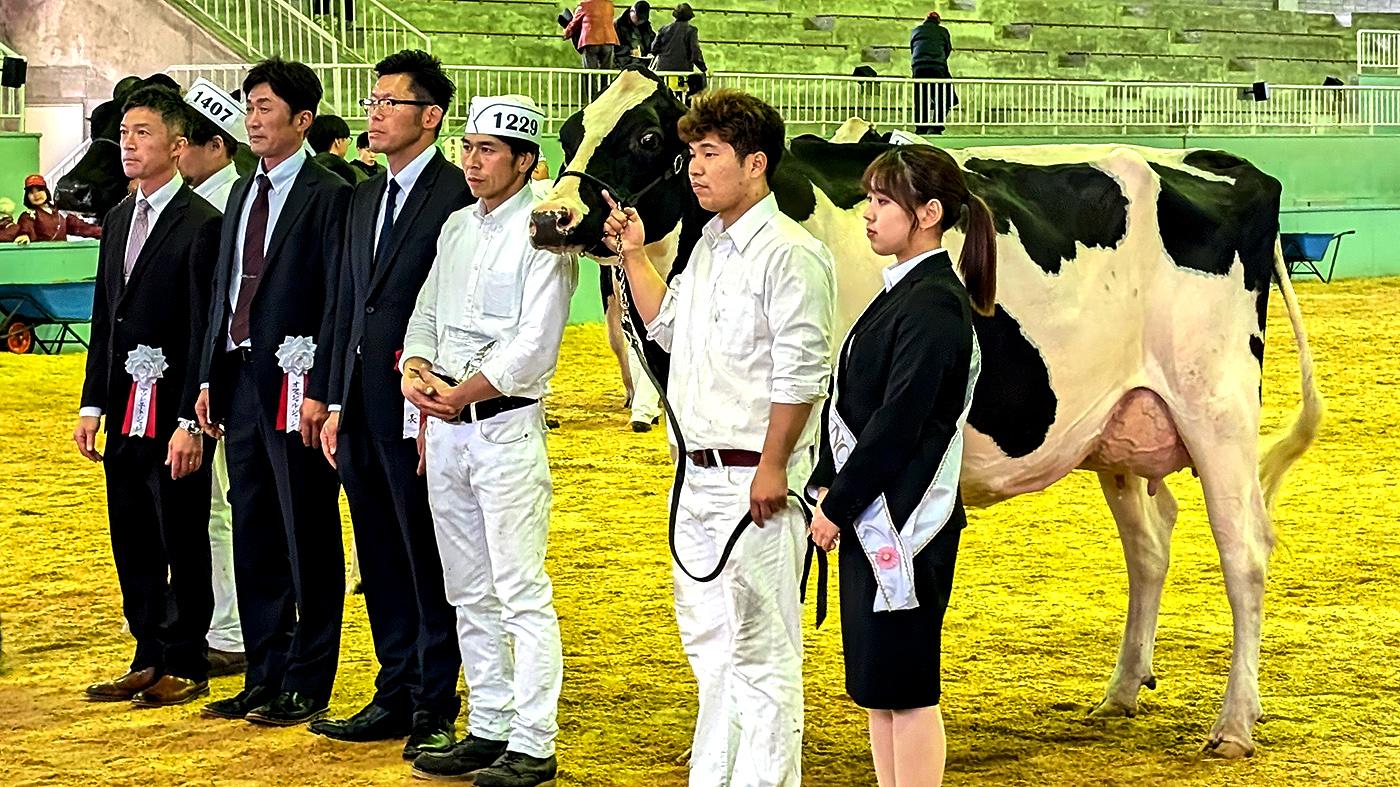受賞牛のアポロ号と栗城一貴代表（右から3人目）