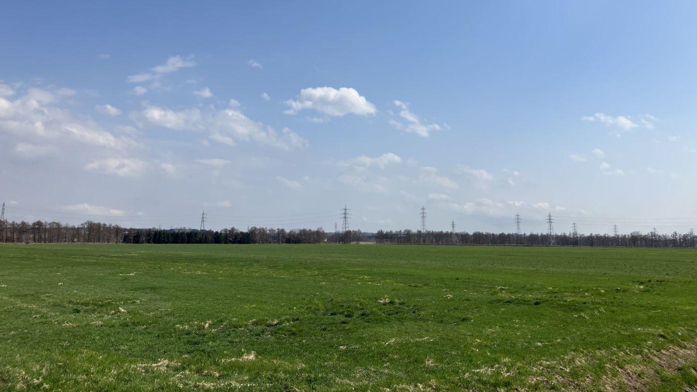 石狩管内の牧草地（4月中旬に撮影）